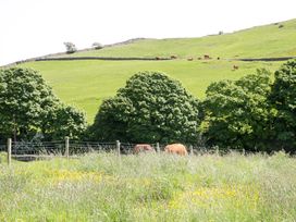 A field with cows grazing near trees at Cherry in Ulverston