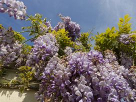 Bilsham Meadows - Cotswolds - 1124276 - thumbnail photo 47