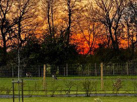 A fenced grassy field with two deer and trees at sunset at Oh Deer in Ashbourne