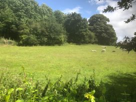 Nant Coed Barn - North Wales - 1124629 - thumbnail photo 36