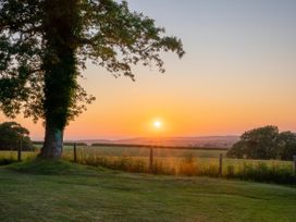 Bluebell - Cornwall - 1124663 - thumbnail photo 17