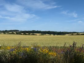 A field with wildflowers and trees at Lonnon Cottage Alnmouth