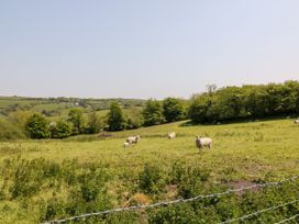 Willow Cottage - Devon - 1124841 - thumbnail photo 20