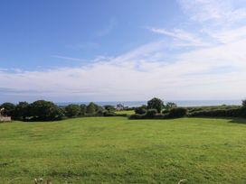 A view of grass and trees with the sea in the background at Bryn Tirion in Moelfre
