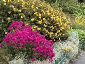 A garden with yellow and pink flowers at The Furness Haven Barrow-In-Furness
