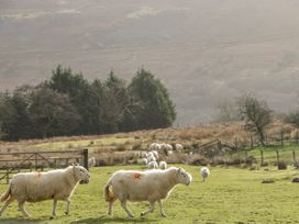 Pen-Croeslan Bach - Mid Wales - 1125634 - thumbnail photo 34