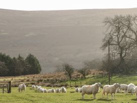 Pen-Croeslan Bach - Mid Wales - 1125634 - thumbnail photo 36