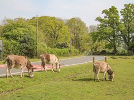 Gwydn Lodge - Hampshire - 1125790 - thumbnail photo 31