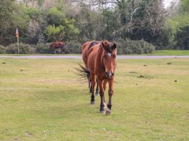 Gwydn Lodge - Hampshire - 1125790 - thumbnail photo 32