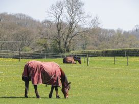 The Attic at Redmond Bottom - Somerset & Wiltshire - 1126052 - thumbnail photo 27