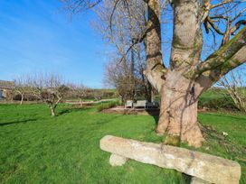 A garden with a tree and bench at Birchenhayes St Dominick