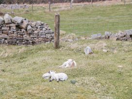 Aqueduct Cottage - Mid Wales - 1126268 - thumbnail photo 39