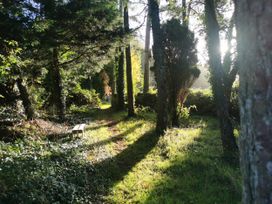 A pathway through trees with a bench at Narracott Down in South Molton