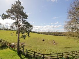 A grassy field with sheep and trees under a blue sky at New House Farm Wappenbury near Leamington Spa