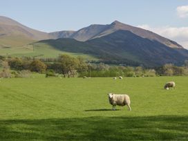 Cobble Cottage - Lake District - 1126850 - thumbnail photo 31