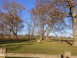Church View Cottage - Yorkshire Dales - 1127135 - thumbnail photo 20