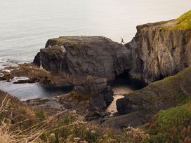 Dyffryn Cottage - South Wales - 1127226 - thumbnail photo 45