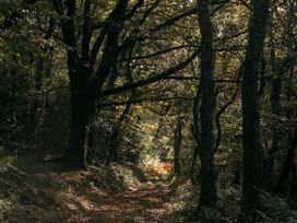 Treveddoe Farmhouse - Cornwall - 1127524 - thumbnail photo 58