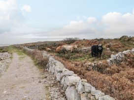 Barbara's Cottage - Shancroagh & County Galway - 1127818 - thumbnail photo 19