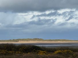 A view of dunes and grass with flowers by the sea at Geesala