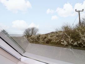 A view from a window showing trees and bushes at Belan Wen in Llanddona near Pentraeth