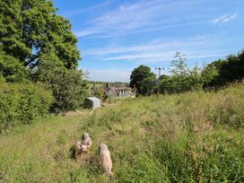 Cherry Pod 2 - Shropshire - 1129227 - thumbnail photo 21