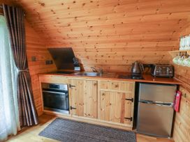 Pine Lodge - Mid Wales - 1129594 - thumbnail photo 9