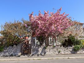 An exterior view of a house with a stone wall and gate in front and trees with pink and green foliage at Haffannedd in Rhos-On-Sea