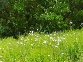 Carines Barns - Pen - Cornwall - 1130045 - thumbnail photo 52