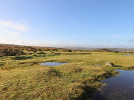 Baytree Cottage - Devon - 1130078 - thumbnail photo 35