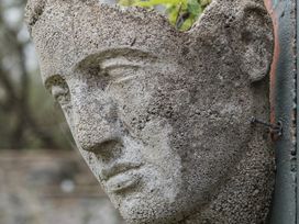 A stone sculpture of a face with plants growing at The Folly in Dittisham