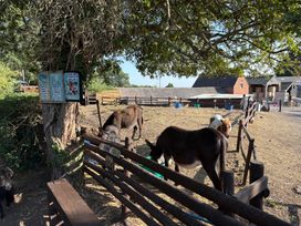 An outdoor area with horses and barns at The Cottage in Ettington