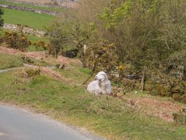 Small Barn - Cornwall - 1130235 - thumbnail photo 33