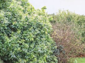 Foreland Cottage - Kent & Sussex - 1130537 - thumbnail photo 45