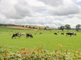 36 Raven's Rest - Lake District - 1130557 - thumbnail photo 12