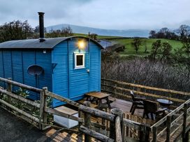 Cuckoo at Wild Valley Huts - Mid Wales - 1130779 - thumbnail photo 1