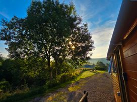 Cuckoo at Wild Valley Huts - Mid Wales - 1130779 - thumbnail photo 18