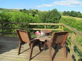 Cuckoo at Wild Valley Huts - Mid Wales - 1130779 - thumbnail photo 12