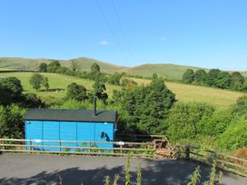 Cuckoo at Wild Valley Huts - Mid Wales - 1130779 - thumbnail photo 17