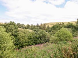 A landscape with trees and flowers at Cuckoo at Wild Valley Huts in Llanrhaeadr-Ym-Mochnant