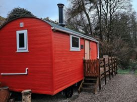 Red Kite at Wild Valley Huts - Mid Wales - 1130781 - thumbnail photo 15