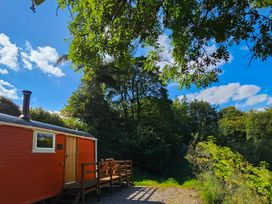 Red Kite at Wild Valley Huts - Mid Wales - 1130781 - thumbnail photo 1