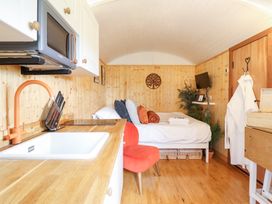 Red Kite at Wild Valley Huts - Mid Wales - 1130781 - thumbnail photo 4