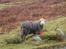 Penny Bridge House - Lake District - 1130855 - thumbnail photo 79