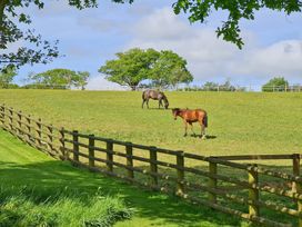 Oak Tree Cottage - Devon - 1131210 - thumbnail photo 26