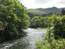 A river with trees and mountains in the background at Henfro in Beddgelert