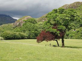 A landscape with trees and a path in Hedfro Beddgelert