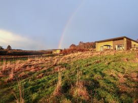 Pine Marten -  - 1132176 - thumbnail photo 41