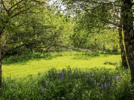 Mucklewick Hollow - Shropshire - 1132387 - thumbnail photo 16