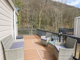 33 Woodpecker Lodge - Mid Wales - 1132427 - thumbnail photo 19